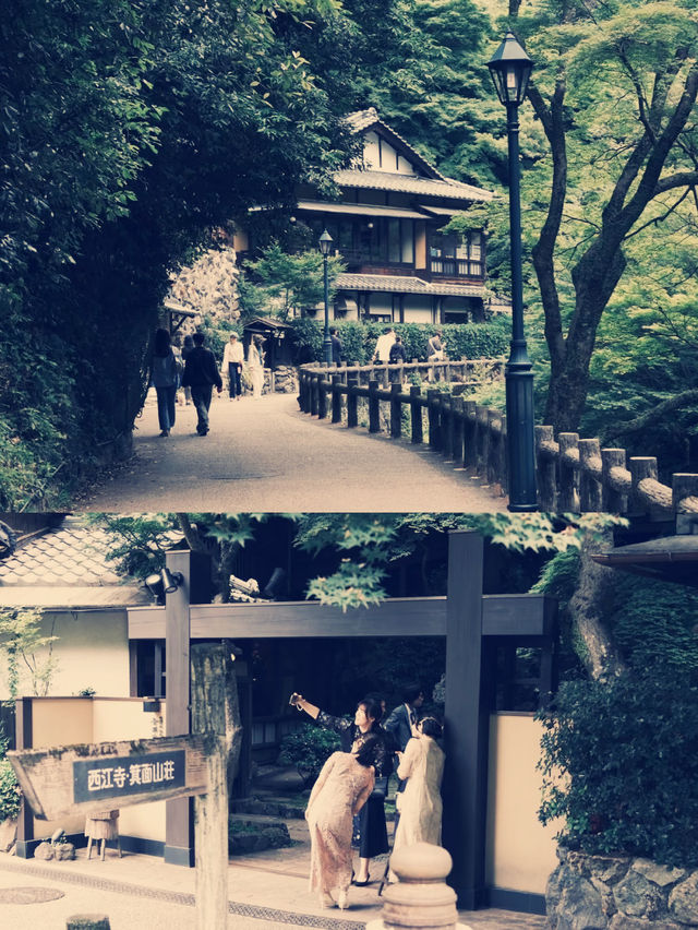 **【穿越千年古都！大阪瀧安寺靜心體驗全記錄】**  