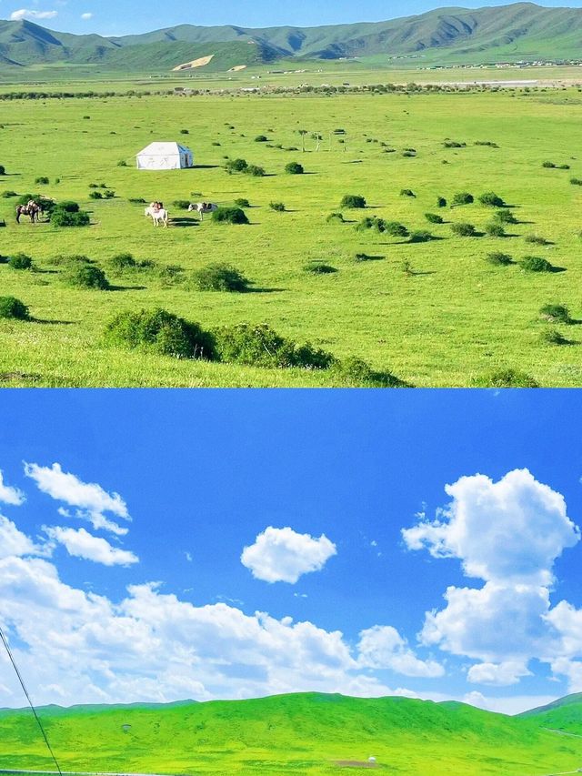 七月旅行夏天的若爾蓋請直接封神