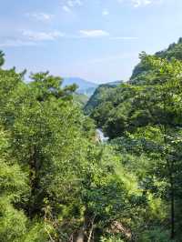 紅林村尋古——黃寶峪古廟遺址