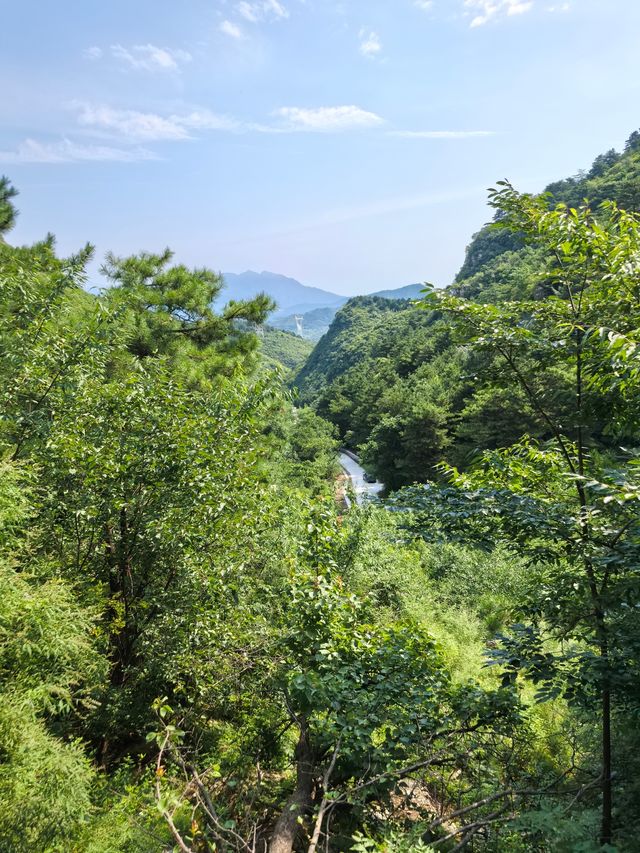 紅林村尋古——黃寶峪古廟遺址
