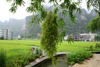 雲霧山中起，仙境數十里！