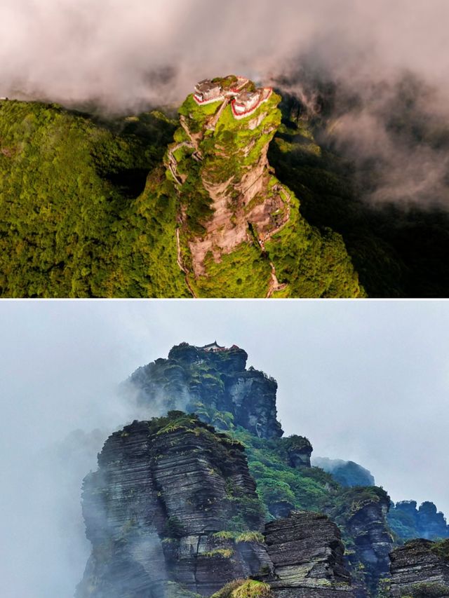 低能量星人衝！梵淨山遊完滿血復活