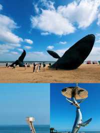山東青島丨7-8月淡季嚟真係好抵！【保姆級旅行攻略】