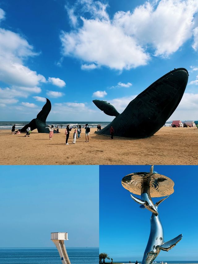 山東青島丨7-8月淡季嚟真係好抵！【保姆級旅行攻略】