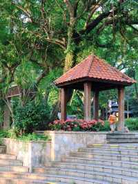廣州旅遊本地人私藏的好去處—越秀公園～