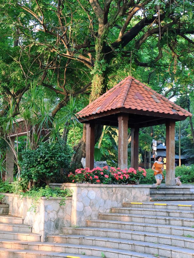 廣州旅遊本地人私藏的好去處—越秀公園～