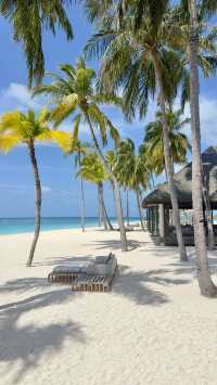 Comfortable Villas and Delicious Dining Experience