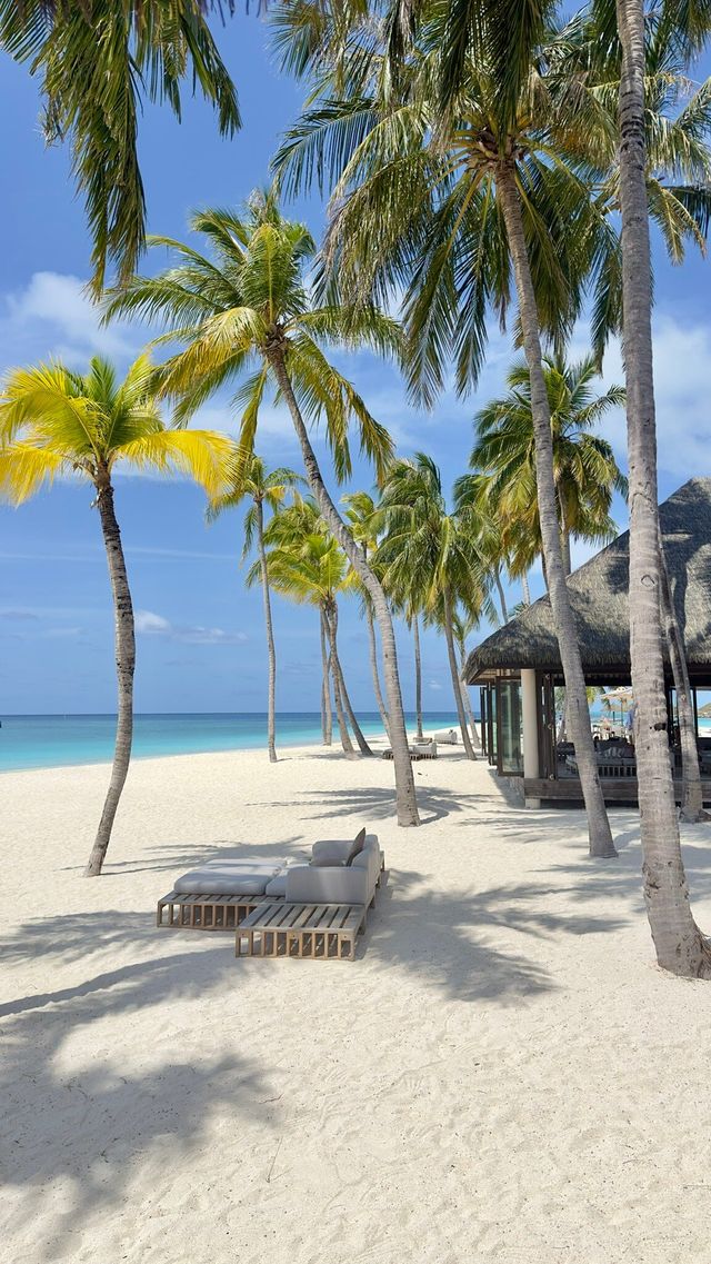 Comfortable Villas and Delicious Dining Experience