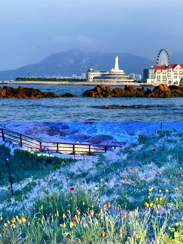 被問爆的青島小眾拍照地 海之戀Park