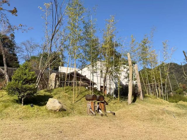 小河彎彎，秋日草坪上的慢時光