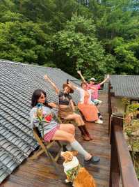 不用去京都了！！本溪庭院民宿……真的太美了