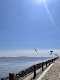 碧海菩提——唐山國際旅遊島菩提島景區