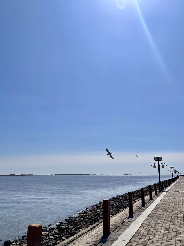 碧海菩提——唐山國際旅遊島菩提島景區