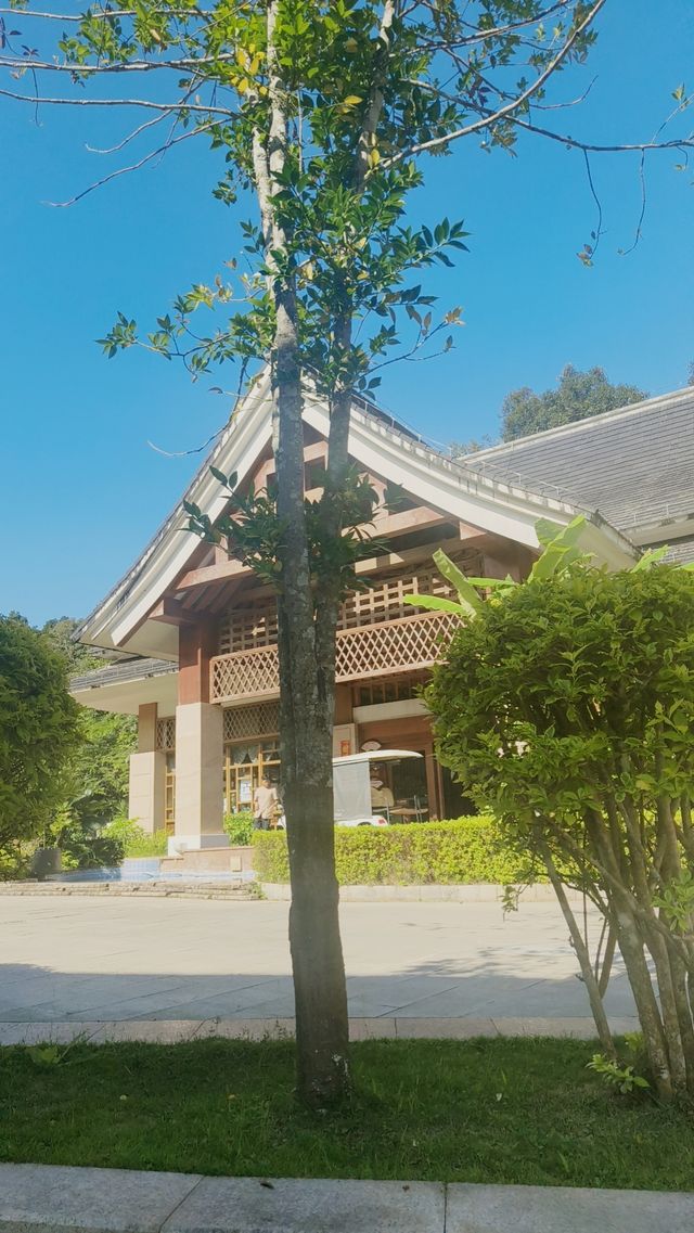 絕美普洱湖景打卡地