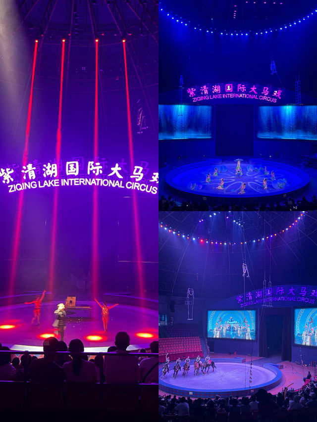 南京國慶遛娃不擠人!湯山紫清湖全攻略。。 南京國慶遛娃不擠人!湯山紫清湖全攻略。。