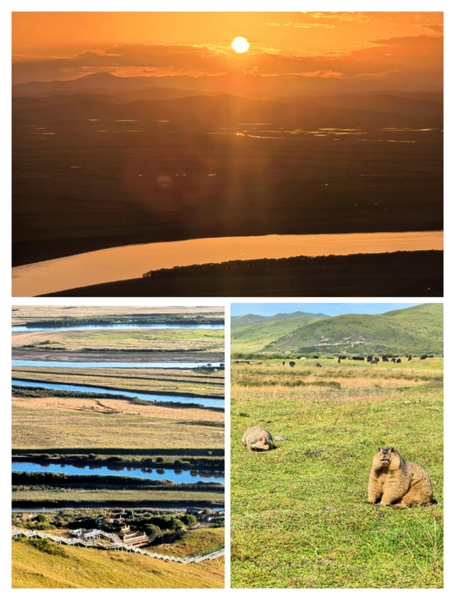 到了蘭州去哪玩？