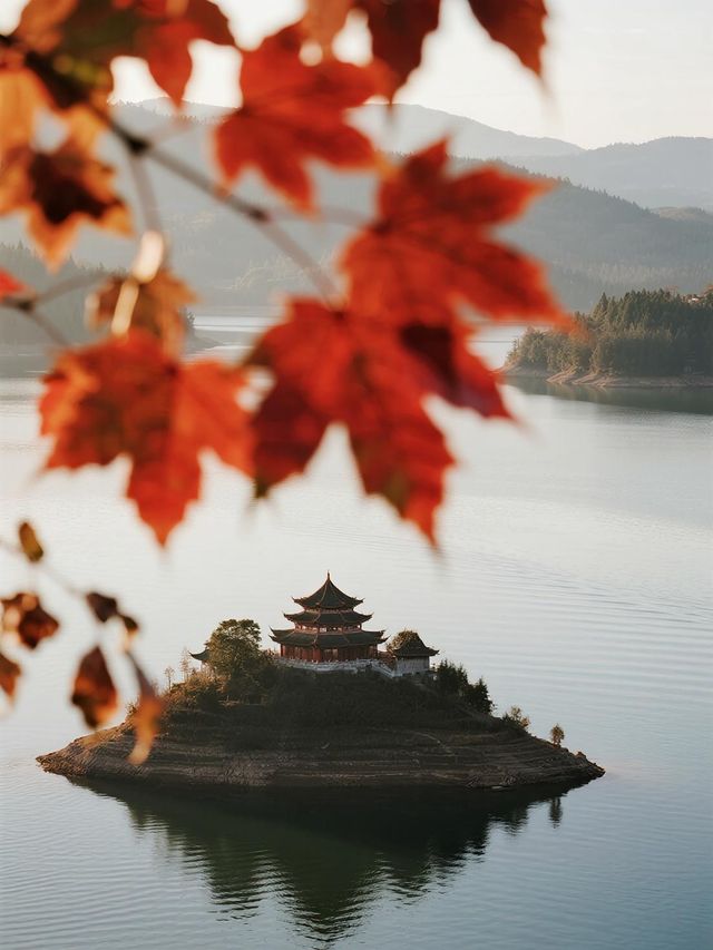 反向旅行爽呆了！茂蘭原始森林秋日探險，附攻略​