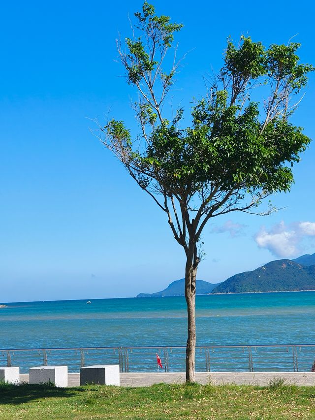 在深圳住到了一家拍照無敵出片的民宿。
