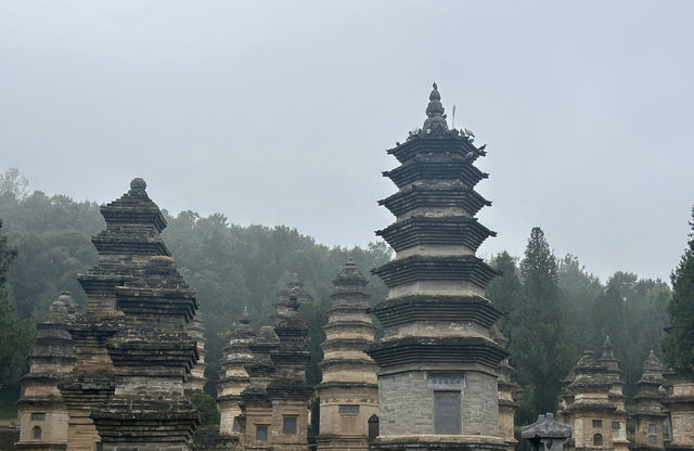 千年禪武聖地在少林寺遇見東方的神級傳說