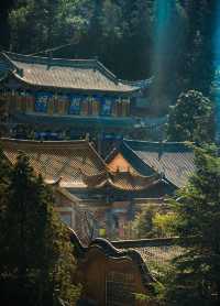 昆明周邊冷門古剎 | 8元打卡600年盤龍寺！
