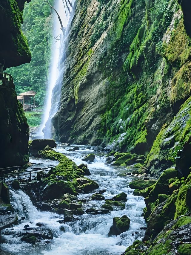 闖入現實版仙俠世界！古龍山通靈大峽谷避暑天花板