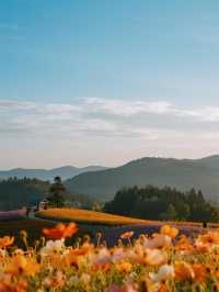 蜀南花海輕戶外計劃！漂流+滑草的秋日野趣之旅