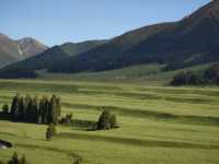 新疆唐布拉十里畫廊｜房車露營+草原治癒之旅