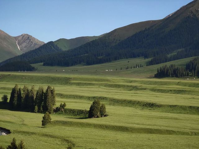 新疆唐布拉十里畫廊｜房車露營+草原治癒之旅