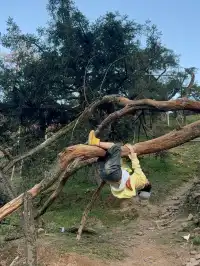 江浙最美徒步路線|走馬崗香榧林（附攻略）