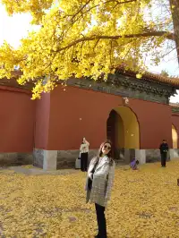 跟風成功！北京賞秋打卡地詳細路線