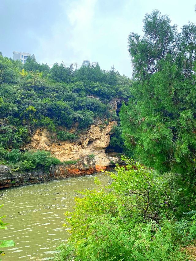 秋日漫遊！澤州丹河龍門濕地