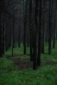 紅石崖｜上班暫停 擁抱草原