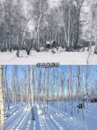 一生坐一次雪國列車越過大興安嶺到漠河