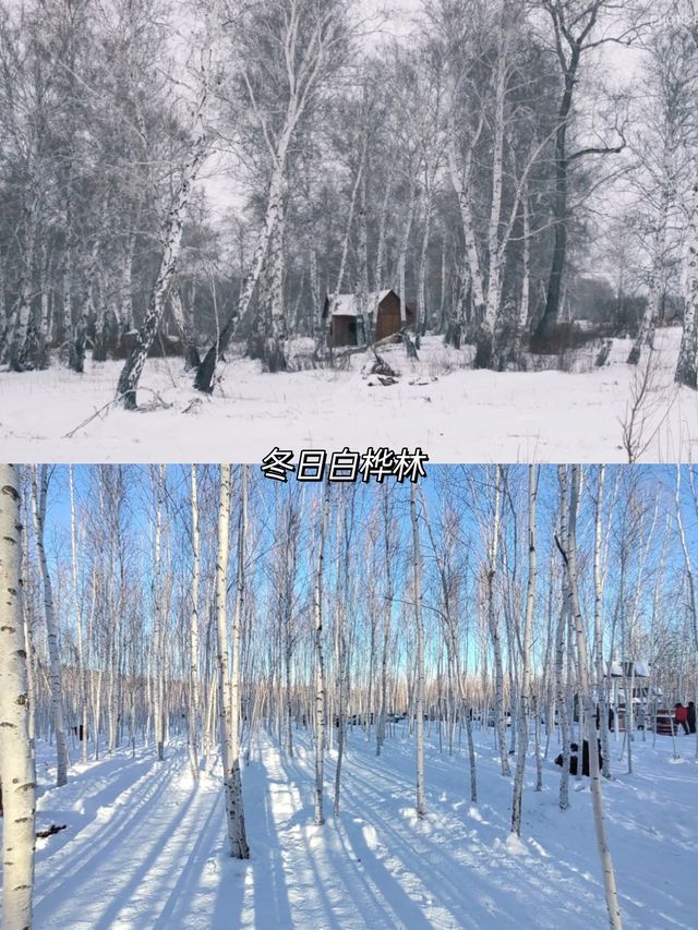 一生坐一次雪國列車越過大興安嶺到漠河