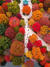 00後創業人的心靈治癒之旅雲平山秋日仙境全攻略