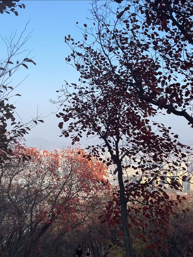 11月博山九龍峪遊玩攻略：萬畝紅葉+網紅玩法，承包秋日浪漫