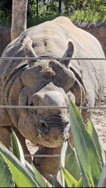 加州之旅 加州之旅