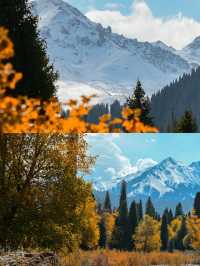 新疆庫爾德寧旅遊攻略｜天山腹地的秋色天花板