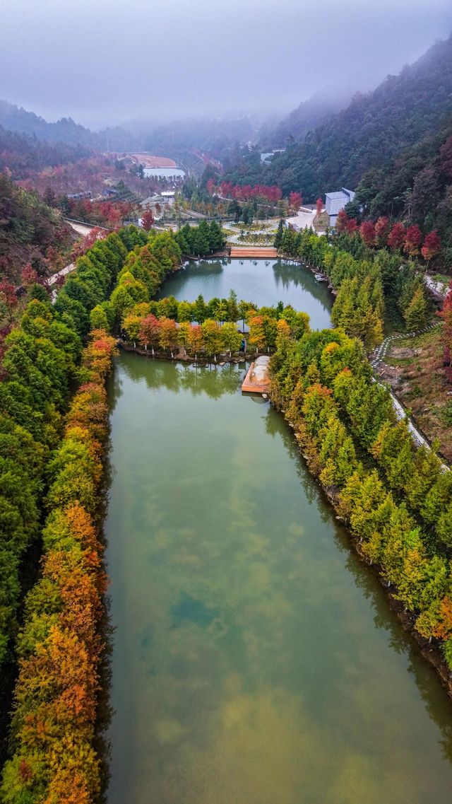 雲端之上的秋日童話秘境 雲端之上的秋日童話秘境