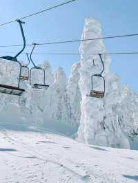 日本東北秘境！冬季限定小眾路線大公開