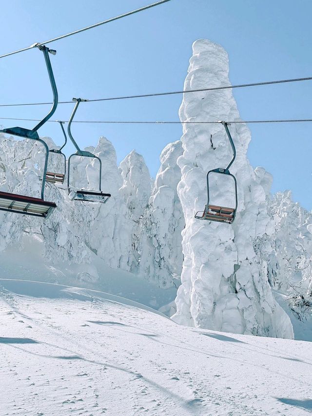 日本東北秘境！冬季限定小眾路線大公開