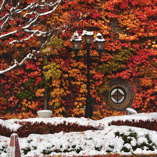 🇯🇵 삿포로에서 만난 기적의 5일: 가을과 겨울이 동시에 🤯