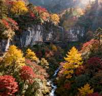 秋色天花板！瓦屋山彩林進入最佳觀賞期，錯過再等一年