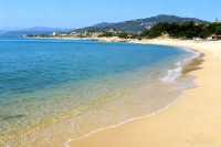 帶你玩轉深圳這座「未來感」與「煙火氣」並存的寶藏城市