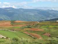 油菜花海徒步攻略