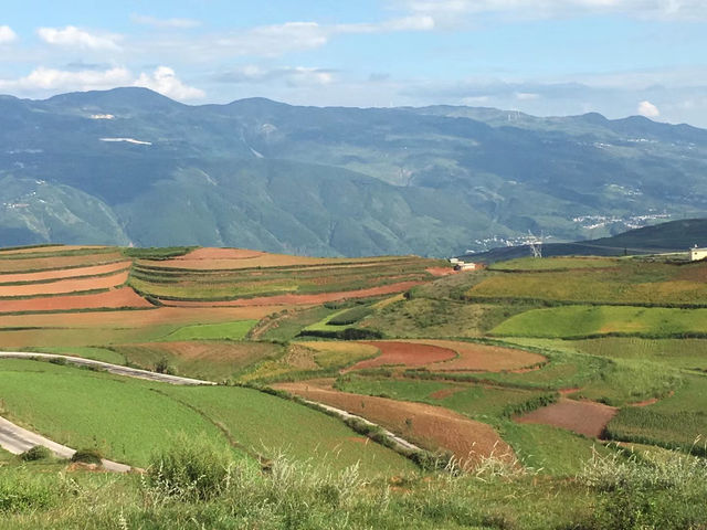 油菜花海徒步攻略