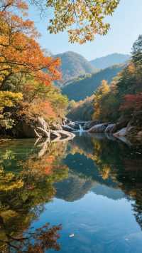 11月的光霧山四天三晚，打卡中國紅葉第一山！