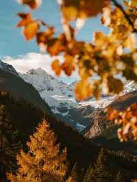 娃放電計劃！光霧山趣玩2天，爸媽也輕鬆