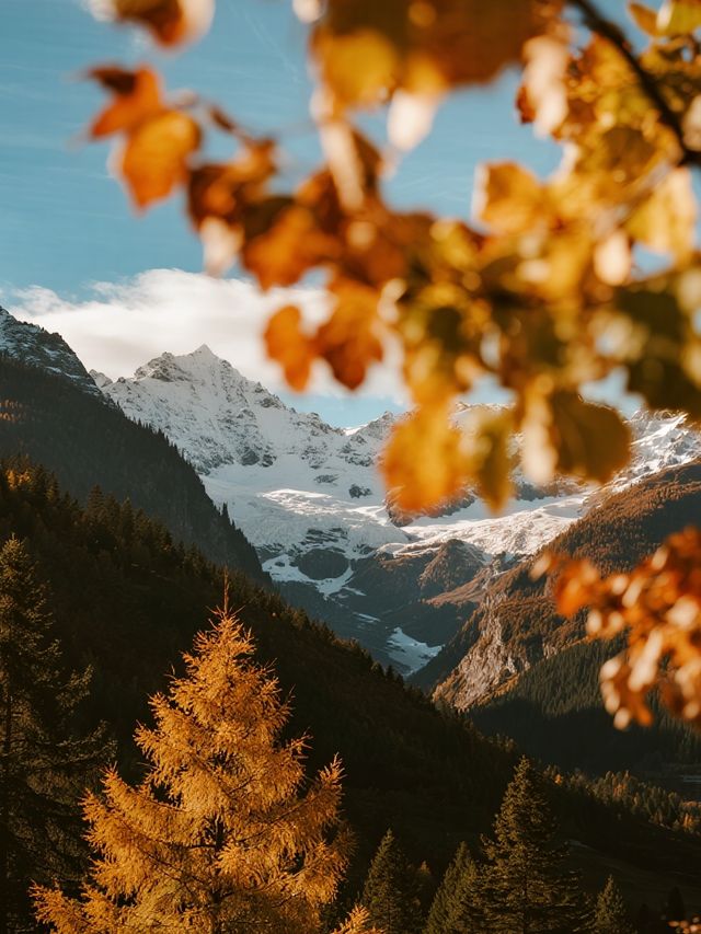 娃放電計劃！光霧山趣玩2天，爸媽也輕鬆