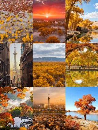 Southern Xinjiang Populus Euphratica Secret Realm Guide